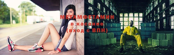 прущие грибы Киренск